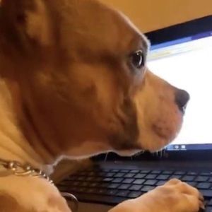 Meet your Posher, Grant